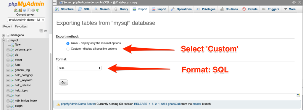 Step 3 - Choose Custom export